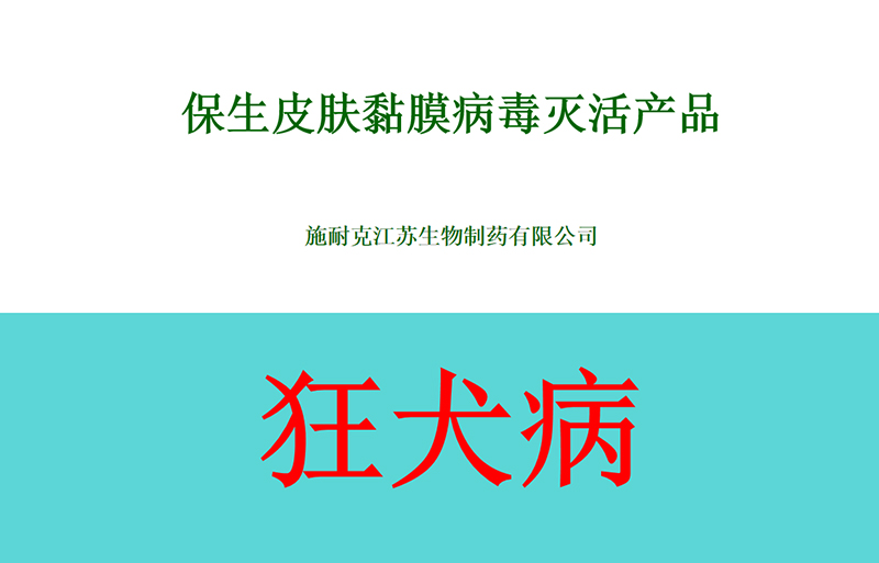 研讨会要点与结论